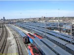 Full Hill Yard